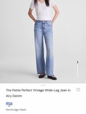 Madewell The Perfect Vintage Wide-Leg Jean